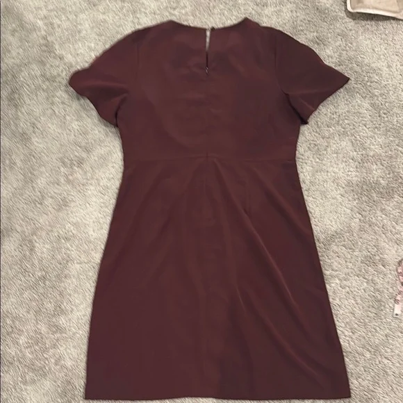 Elegant Burgundy Dress - Picture 6 of 6